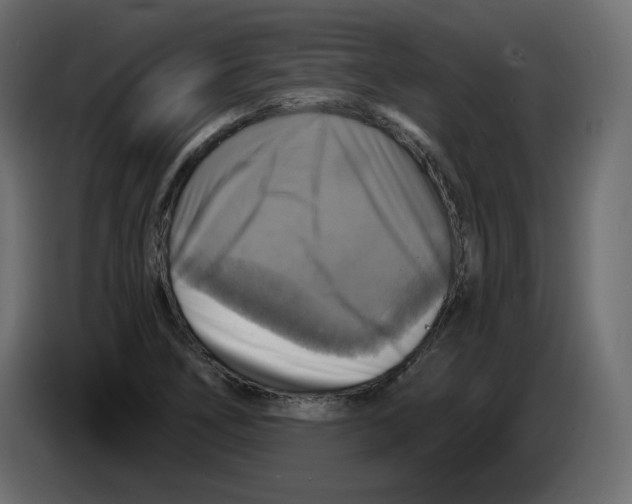 X0000084531266200703231645