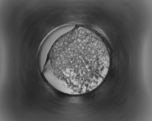 X0000084531268200703231644