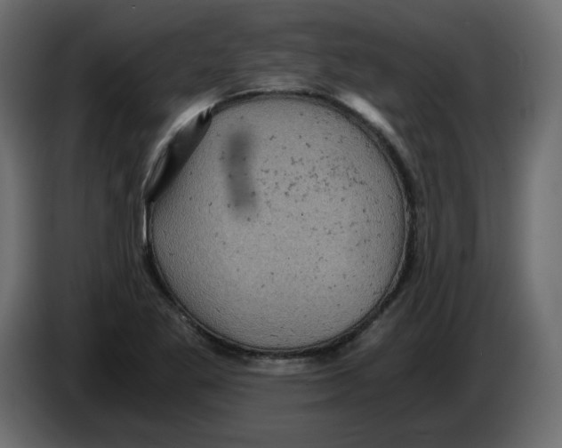 X0000084531269200703231644