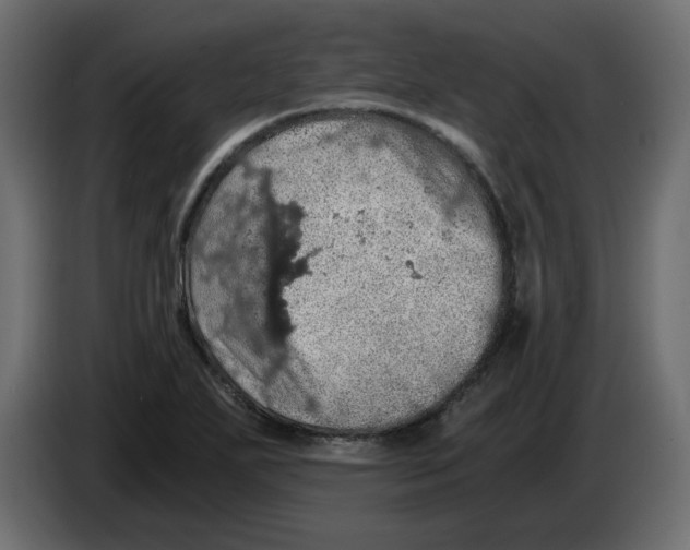 X0000084531271200703231644
