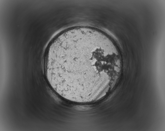 X0000084531272200703231644