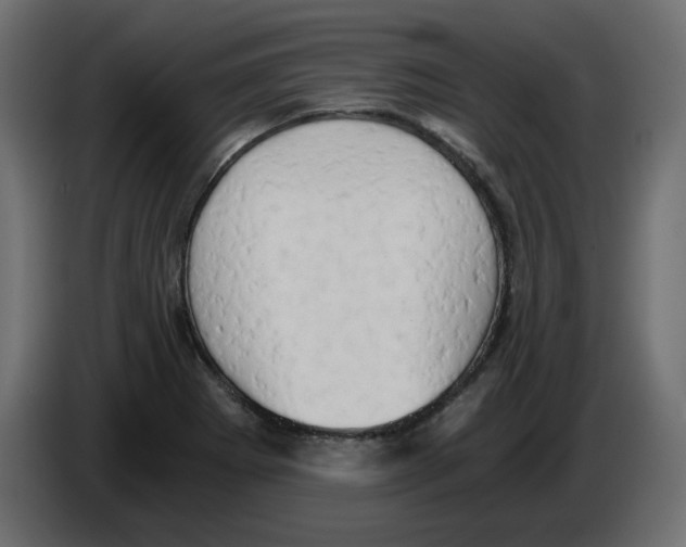 X0000084531273200703231644