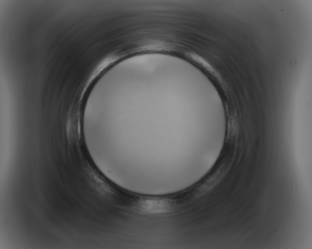 X0000084531274200703231644