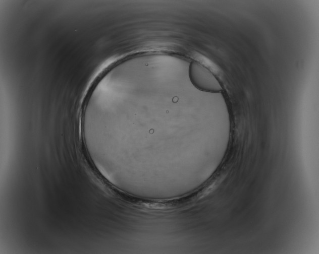 X0000084531275200703231644