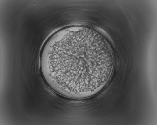 X0000084531276200703231644