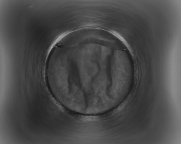 X0000084531277200703231644
