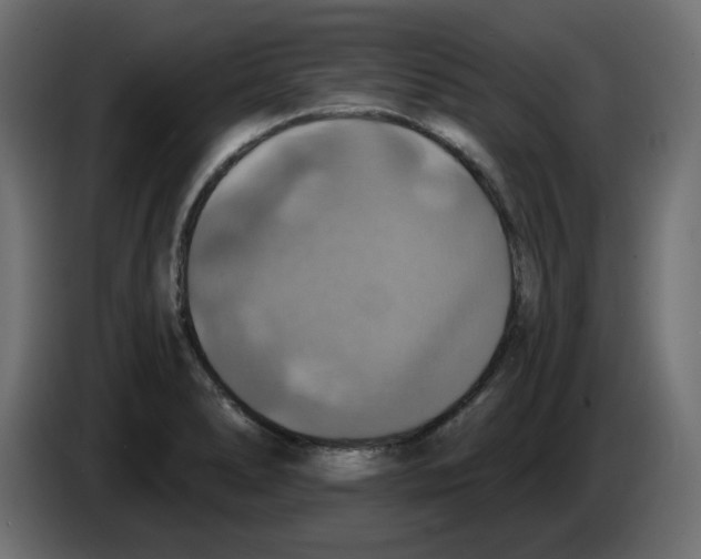 X0000084531278200703231644