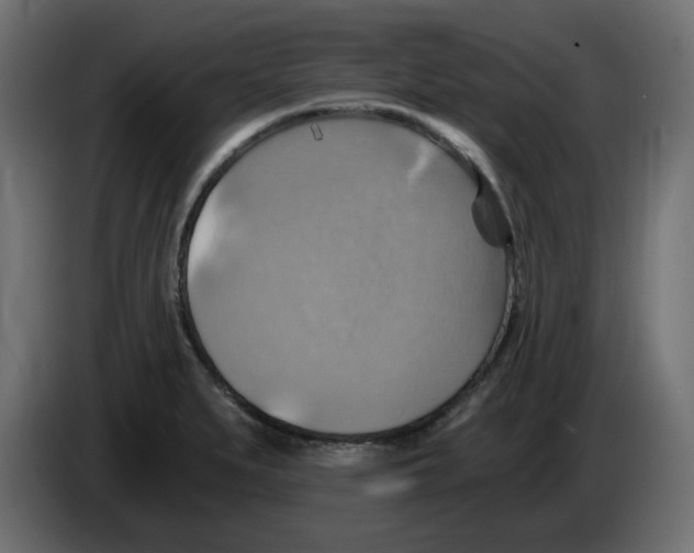 X0000084531279200703231644