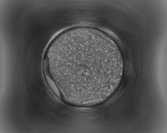 X0000084531280200703231644