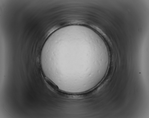 X0000084531281200703231644