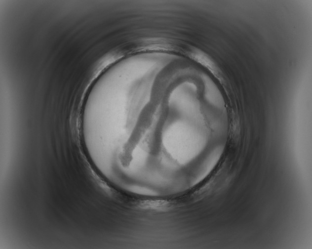 X0000084531282200703231644