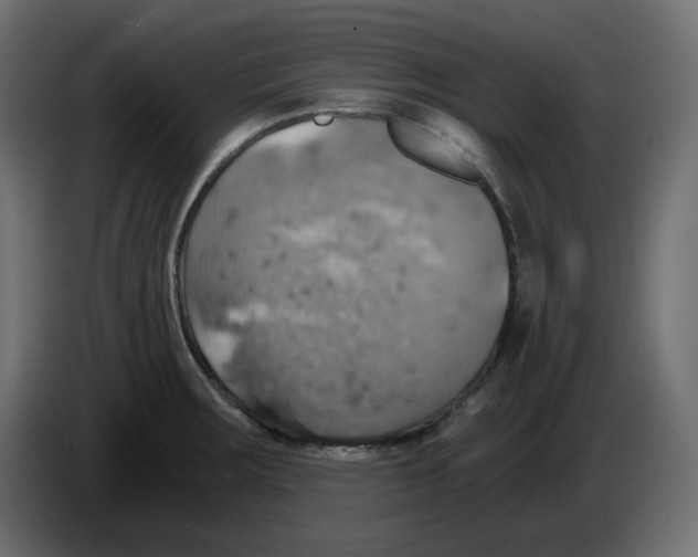 X0000084531283200703231644