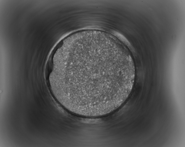 X0000084531284200703231644