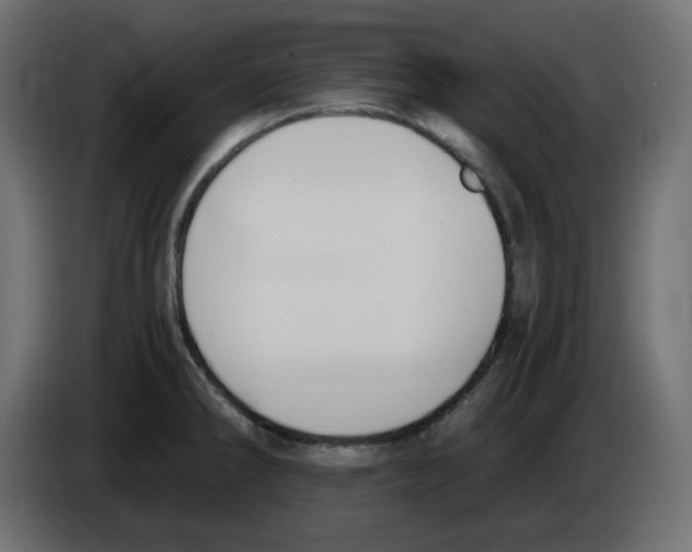 X0000084531286200703231644