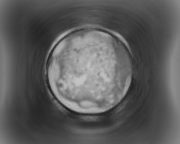 X0000084531287200703231644