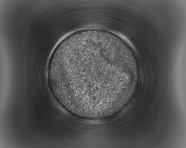 X0000084531288200703231644