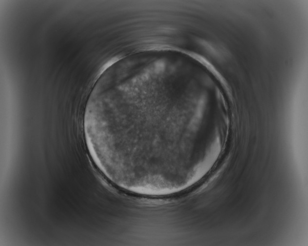 X0000084531289200703231644
