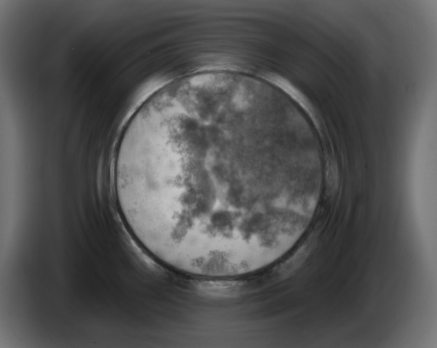 X0000084531290200703231644
