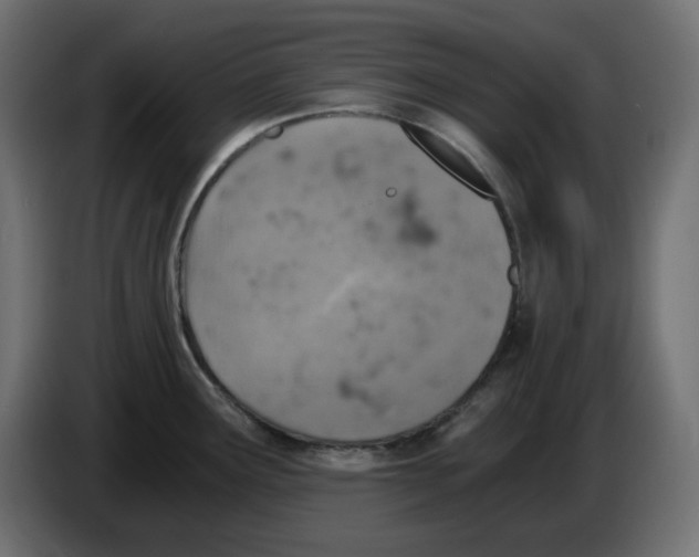 X0000084531291200703231644