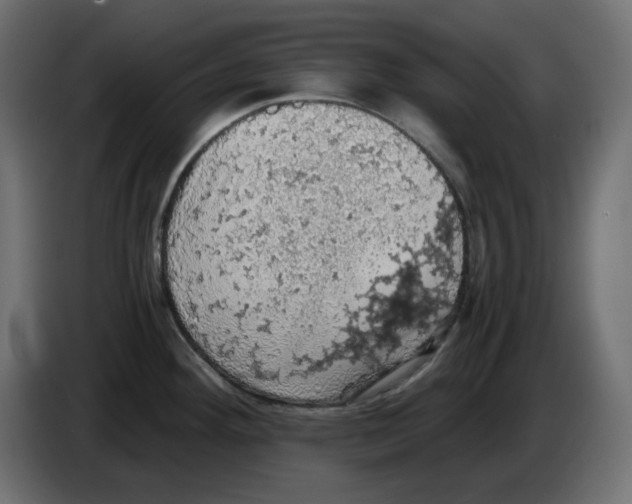 X0000084531292200703231644