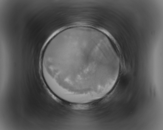 X0000084531294200703231644