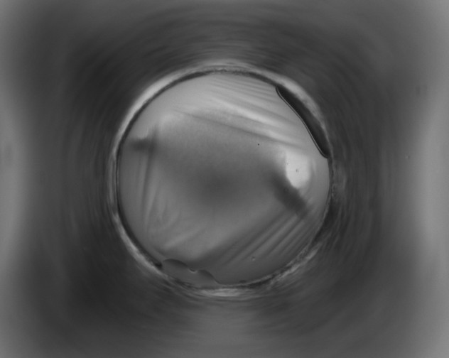 X0000084531295200703231644
