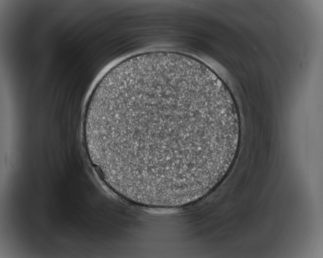 X0000084531296200703231644