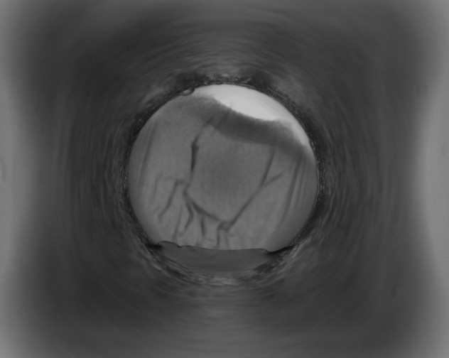 X0000084531297200703231643