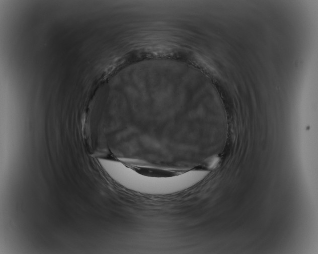 X0000084531298200703231643