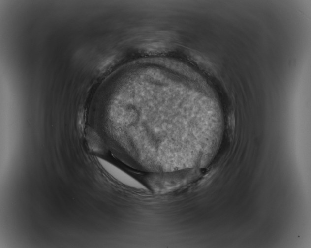 X0000084531300200703231643