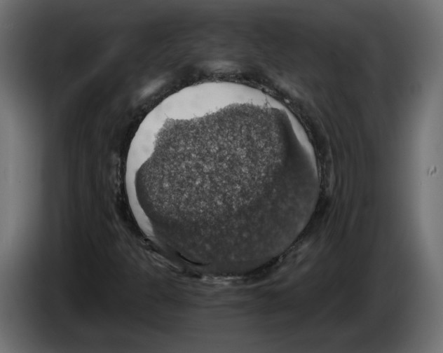 X0000084531301200703231643