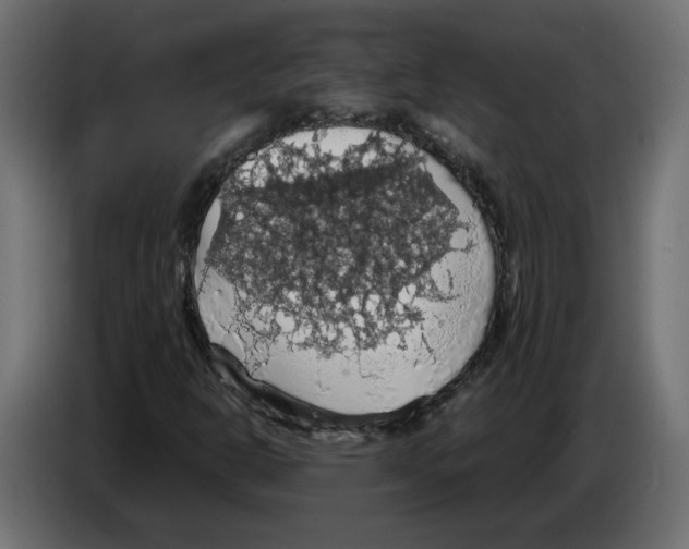 X0000084531302200703231643