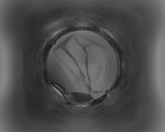 X0000084531303200703231644