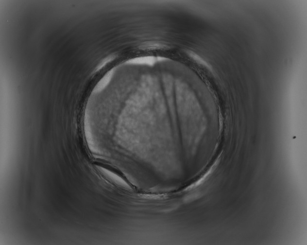 X0000084531305200703231644