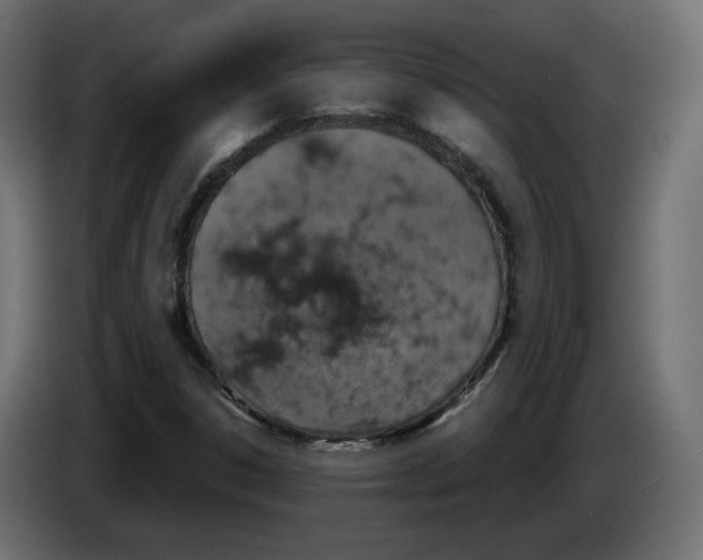 X0000084531306200703231644