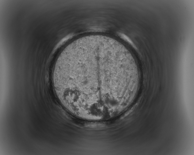 X0000084531307200703231644