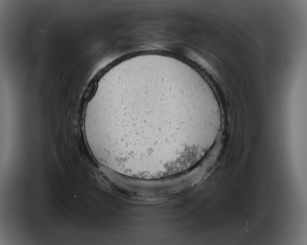 X0000084531308200703231644
