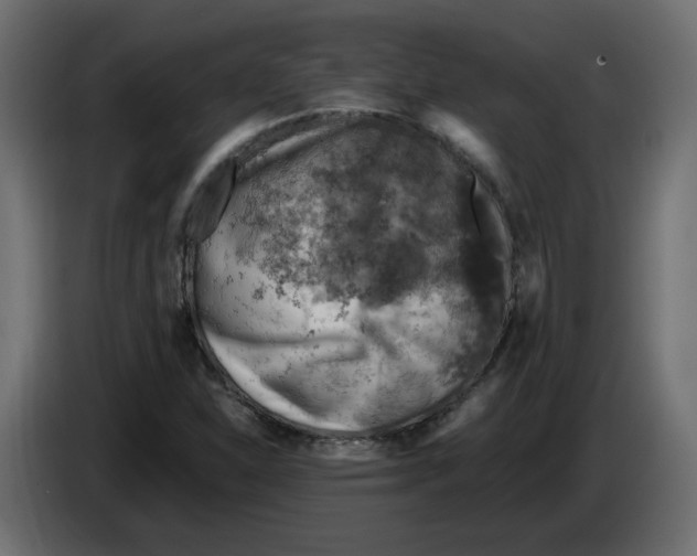 X0000084531310200703231644