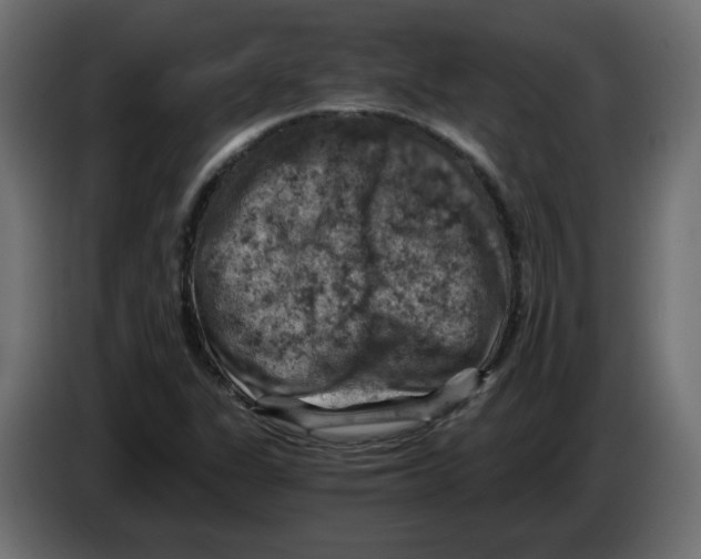 X0000084531311200703231644