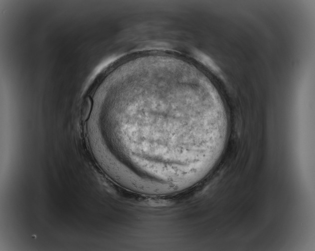 X0000084531312200703231644