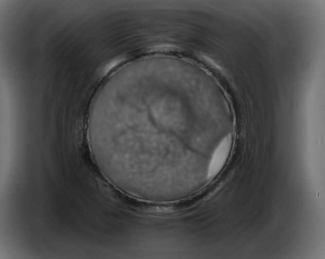X0000084531313200703231644