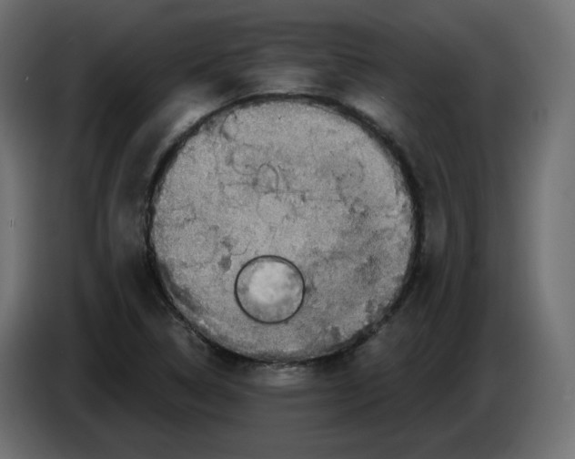 X0000084531314200703231644