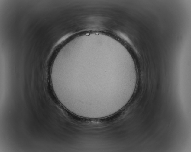 X0000084531315200703231644