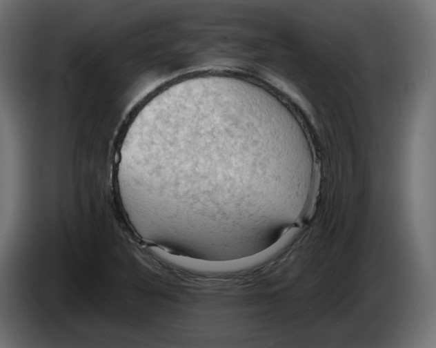 X0000084531316200703231644