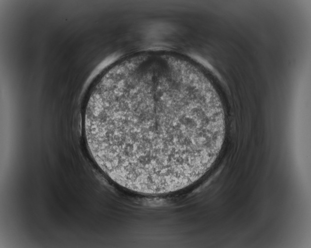 X0000084531317200703231644