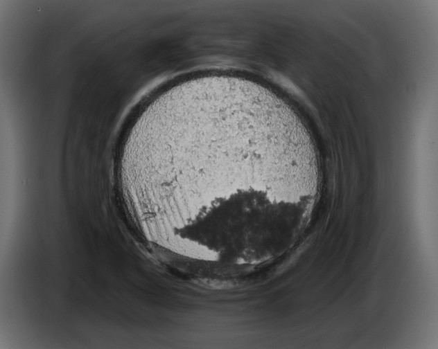 X0000084531318200703231644