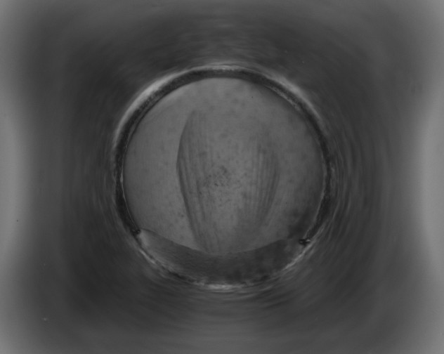 X0000084531319200703231644