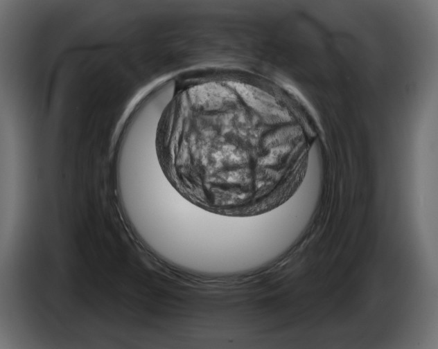 X0000084531320200703231644