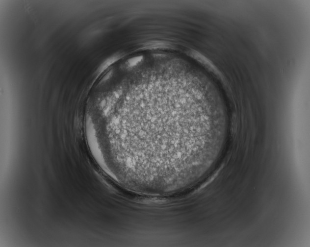 X0000084531321200703231644