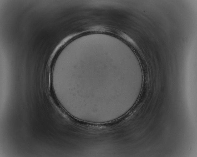 X0000084531323200703231644